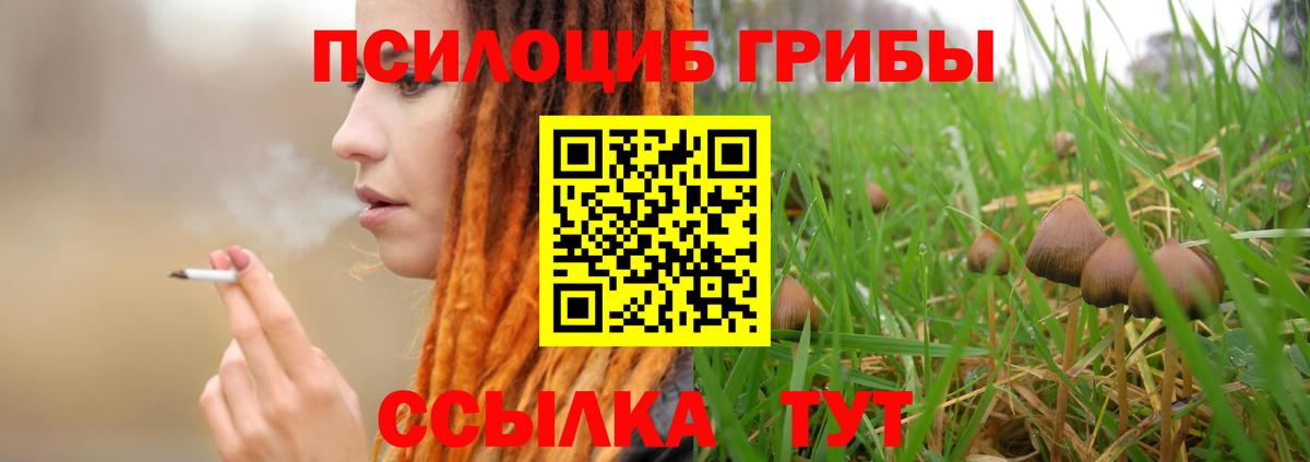 Галлюциногенные грибы Psilocybine cubensis  Вход с VPN  Мурманск  Галлюциногенные грибы GOLDEN TEACHER 